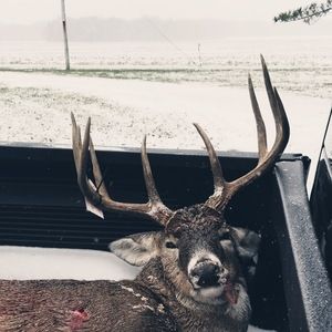 Meet your Posher, Andy